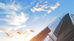 Company profile