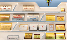 Honorary qualifications