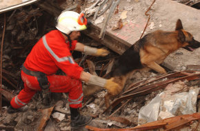  物联网犬式嗅觉传感器探测地震废墟下生命